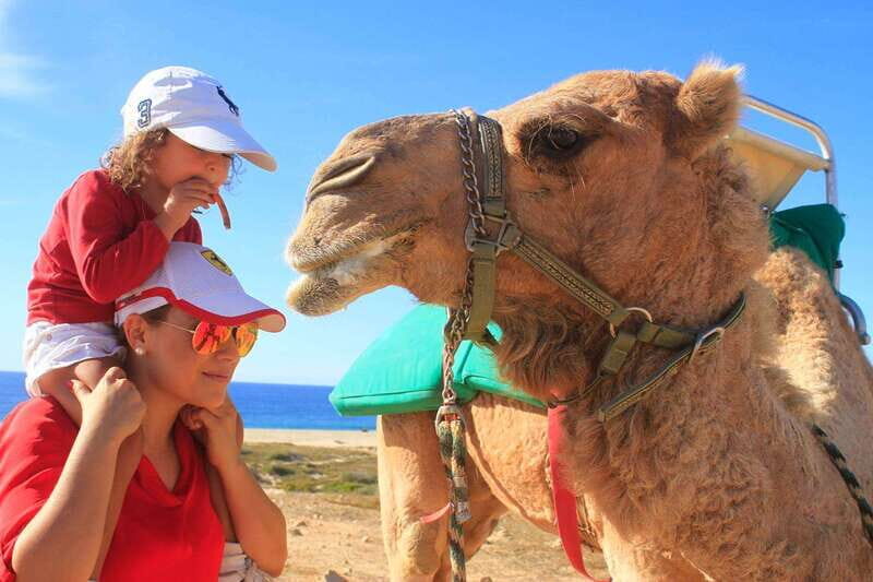 Los Cabos: Camel Ride Safari with Lunch and Tequila Tasting - Who Should Consider This Tour?