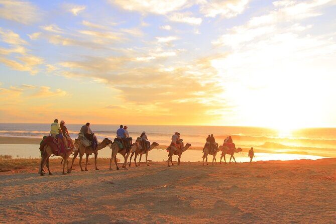 Los Cabos Camel Riding and ATV with Tequila Tasting - FAQs
