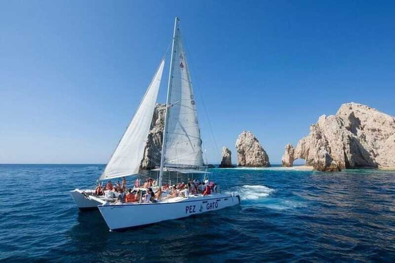 Los Cabos: Catamaran Whale Watching Cruise - The Experience in Detail: What You’ll Love
