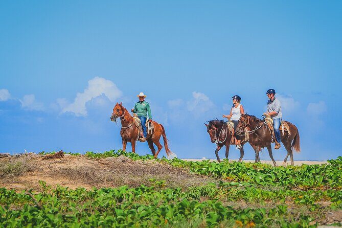 Los Cabos Combo: ATV + Horseback Riding - Final Thoughts: Is This Tour Worth It?