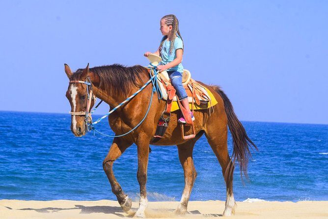 Los Cabos - COMBO Horseback Riding & ATV Tour - An In-Depth Look at the Combo Tour