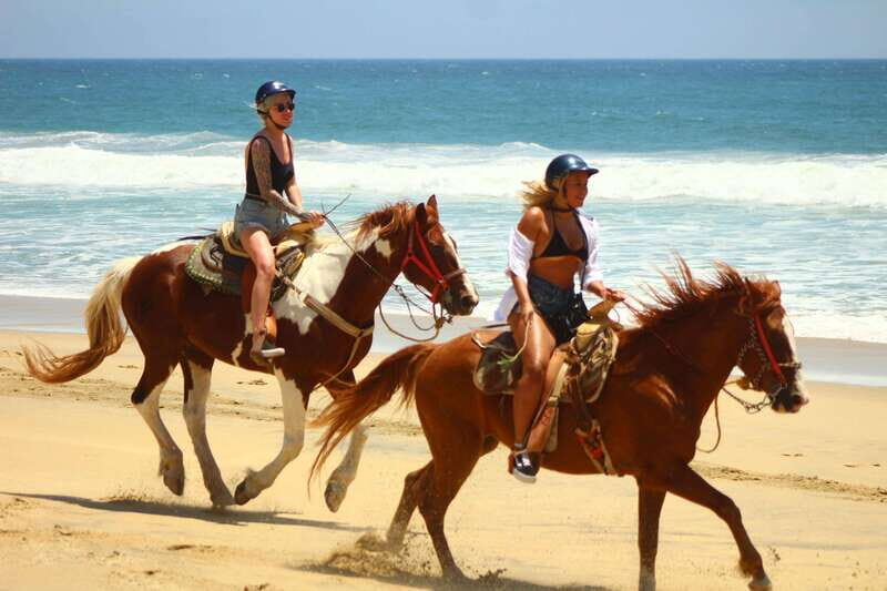 Los Cabos: Combo: Razor, Horseback or atv with transfer - Included and Not Included: What You Get and What You Don’t