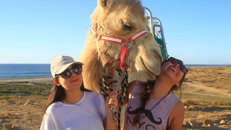 Los Cabos: Desert & Sea Camel Safari Tour with Lunch - Practical Considerations and What to Expect