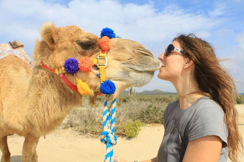 Los Cabos: Desert & Sea Camel Safari Tour with Lunch - Why This Tour Works Well