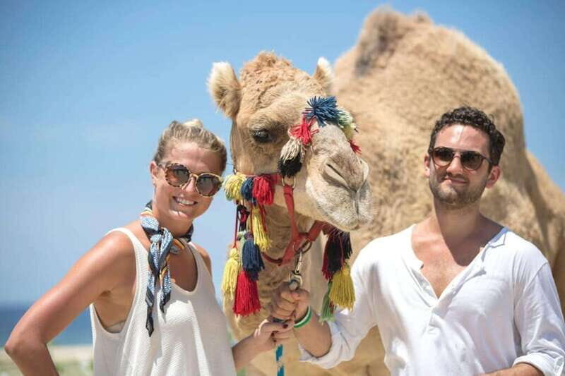 Los Cabos: Desert & Sea Camel Safari Tour with Lunch - The Sum Up