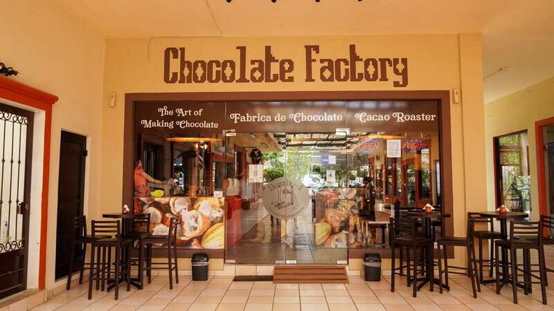 Los Cabos Famous Arch cruise, City tour and Lunch - A Detailed Look at the Tour