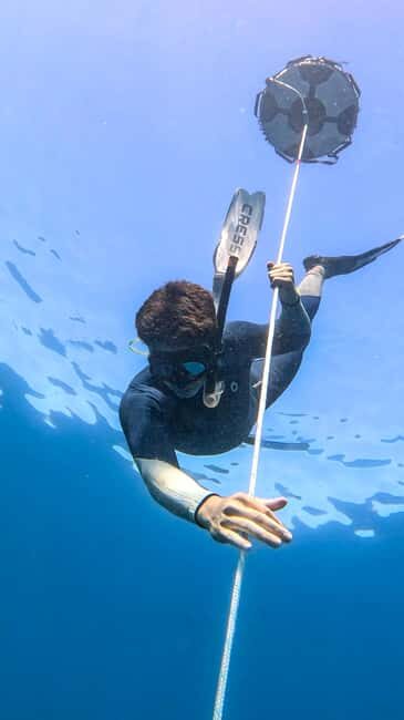 Los Cabos: freediving sessions - Key Points