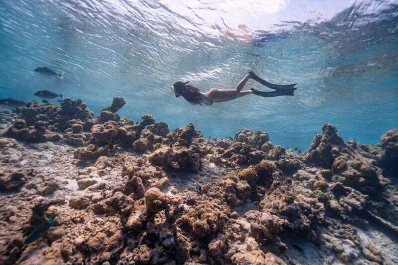 Los Cabos: Glass-Bottom Kayak and Snorkel Tour at Two Bays - What You Can Expect