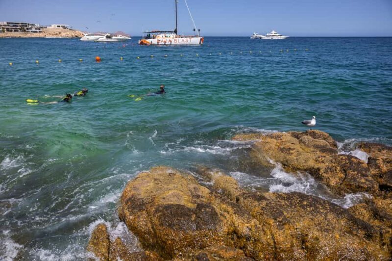 Los Cabos: Guided Snorkeling Tour with Transportation - Discovering Chileno Bay: The Heart of the Tour
