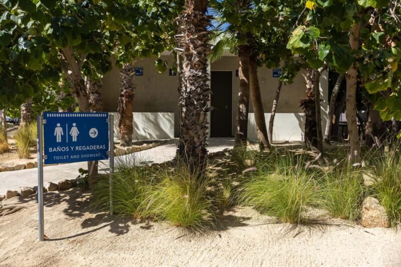 Los Cabos: Guided Snorkeling Tour with Transportation - Who Will Love This Tour?