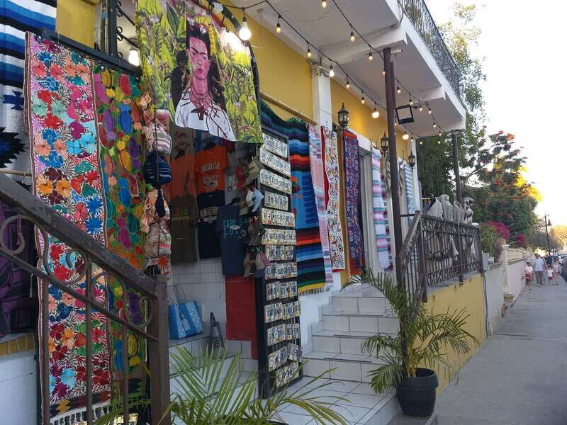 Los Cabos: Half-Day San Lucas and San Jose Tour - Additional Details and Practical Tips