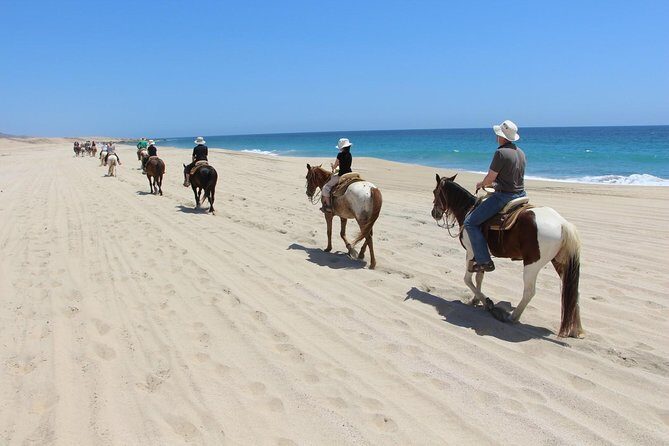 Los Cabos Horseback Riding - Comfort, Safety, and Facilities