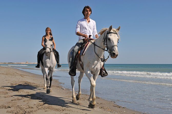 Los Cabos Horseback Riding - Authentic Experiences and Highlights