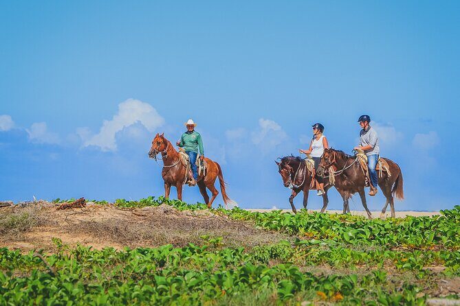 Los Cabos Horseback Riding - Value for Money