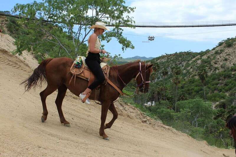 Los Cabos: Horseback Riding in Canyon a Mexican Experience - Exploring the Experience in Detail