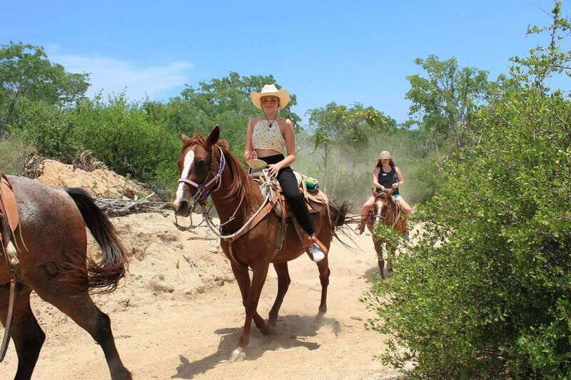 Los Cabos: Horseback Riding in Canyon a Mexican Experience - FAQ
