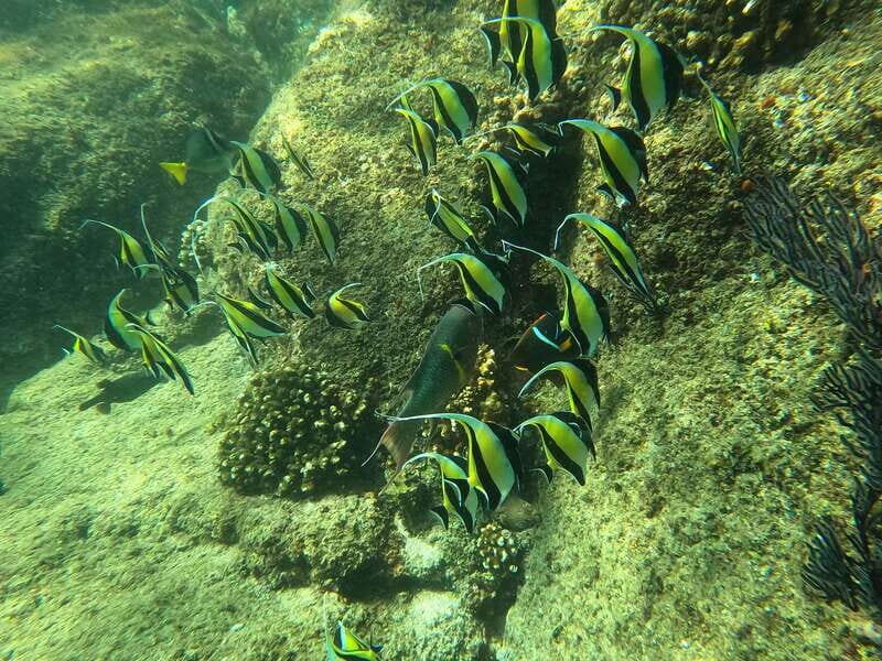 Los Cabos: Kayak to The Arch & Snorkel + Transport & Photos - Final Thoughts: Who Will Love This Tour?