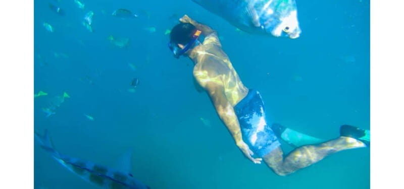 Los Cabos: Land's End Kayak and Snorkel Tour - Authenticity and Practical Tips