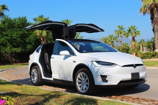 Los Cabos Luxury Private Tesla Airport Transfer - The Ride: What to Expect