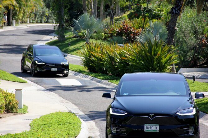 Los Cabos Luxury Private Tesla Airport Transfer - Analyzing the Value