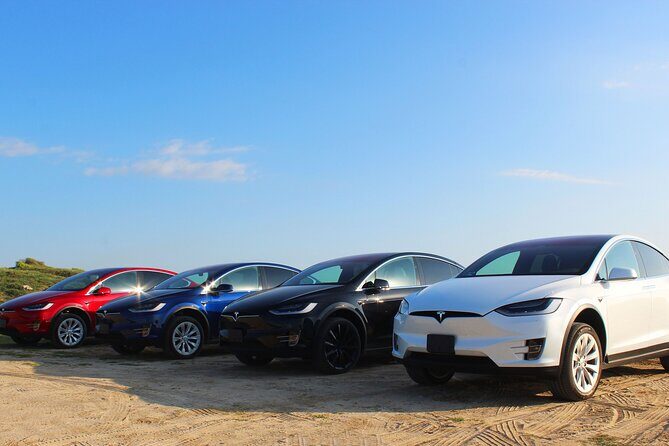 Los Cabos Luxury Private Tesla Transfer from Airport to Puerto Los Cabos Area - Authentic Experiences and Traveler Feedback