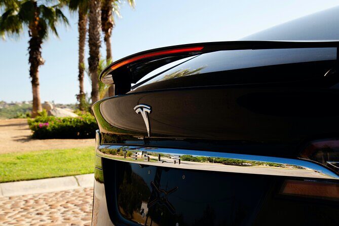 Los Cabos Luxury Private Tesla Transfer from Airport to Puerto Los Cabos Area - The Practical Side: Timing, Group Size, and Comfort