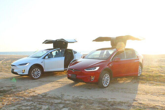 Los Cabos Luxury Private Tesla Transfer from Airport to Puerto Los Cabos Area - FAQ