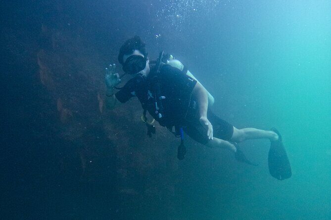 Los Cabos Open Water Diver Course - Detailed Review of the Los Cabos Open Water Diver Course