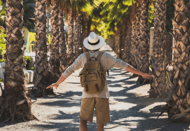 Los Cabos: San Jose del Cabo and Cabo San Lucas Tour - A Deep Dive into the Los Cabos Tour