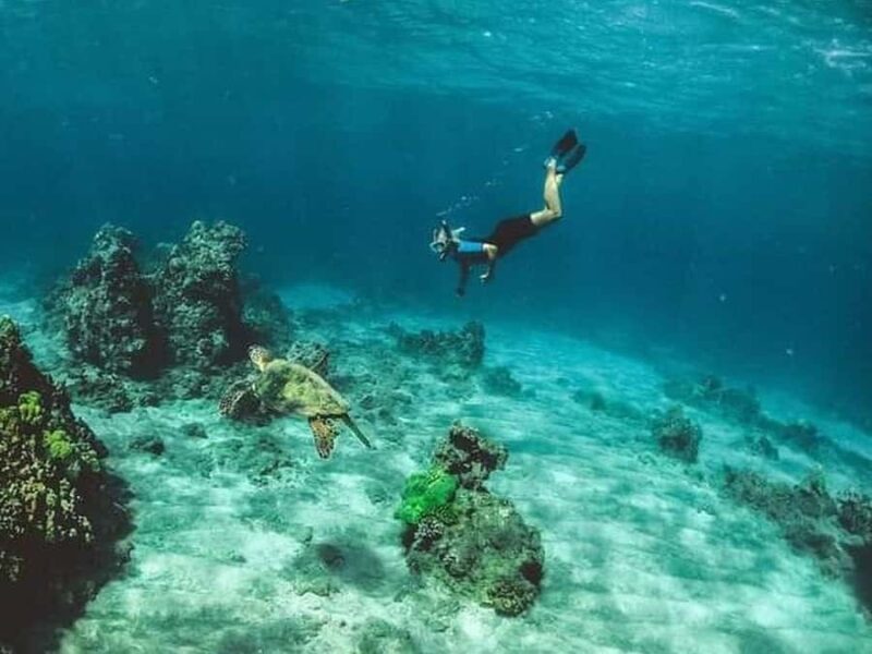 Los Cabos: Santa Maria & Chileno Bay Snorkel Adventure - Discovering Los Cabos: Santa Maria & Chileno Bay Snorkel Adventure