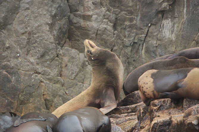 Los Cabos Shared Tour: Explore El Arco and Glass Factory - Final Thoughts