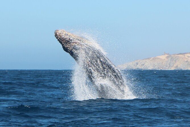 Los Cabos Sightseeing and Cultural Day Trip with Boat Ride - The Sum Up: Who Should Consider This Tour?