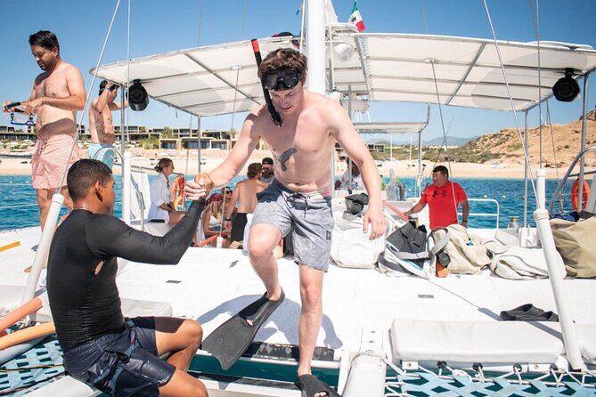 Los Cabos Snorkeling Adventure with Transportation - A Closer Look at the Experience