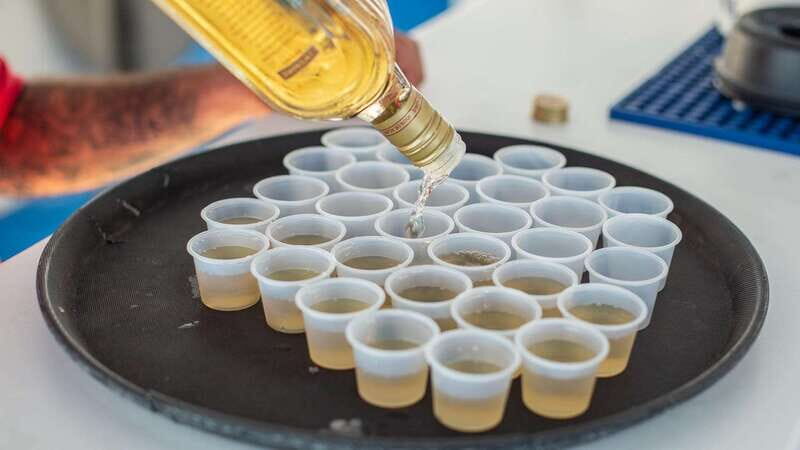 Los Cabos: Sunset Dinner Cruise with Transportation - The Experience: What to Expect on the Water