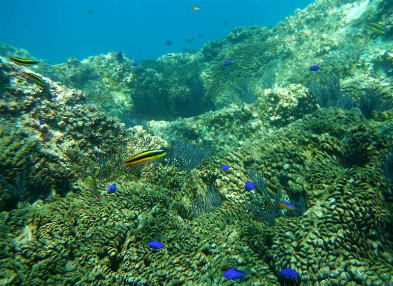 Los Cabos: The Arch and Lover's Beach Kayaking + Snorkeling - Los Cabos: The Arch and Lovers Beach Kayaking + Snorkeling — A Detailed Look