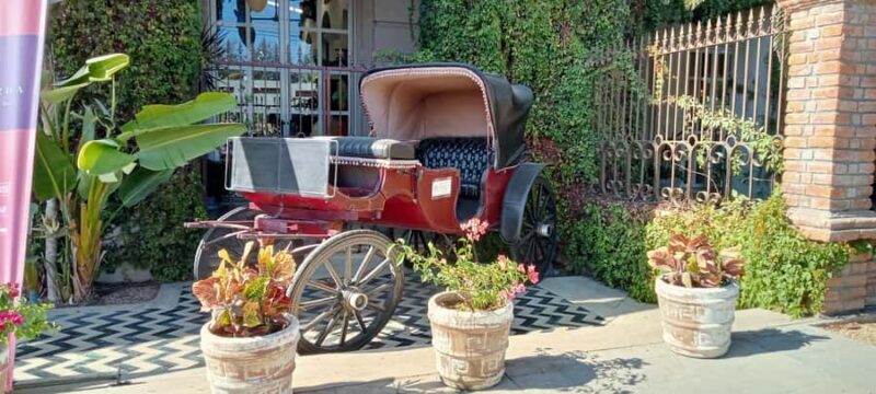 Los Cabos: Todos Santos Pueblo Magico Tour - Key Points