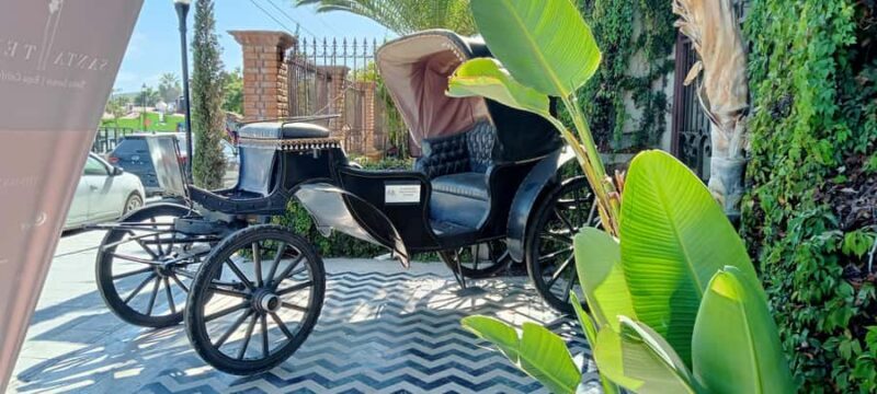 Los Cabos: Todos Santos Pueblo Magico Tour - The Bottom Line