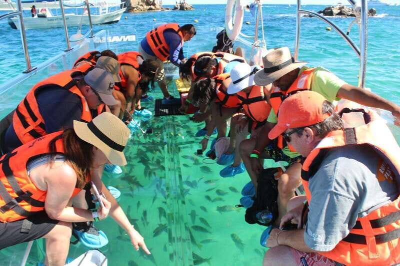 Los Cabos: Transparent Boat Tour with Optional City Tour - Itinerary Breakdown: What You Can Expect