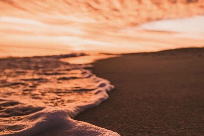 Los Cabos turtle release conservation program - FAQ