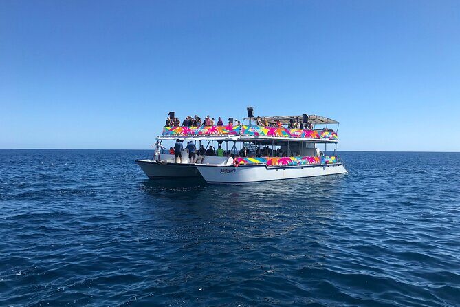 Los Cabos Whale Watching Cruise Including Breakfast - Who Will Love This Tour?