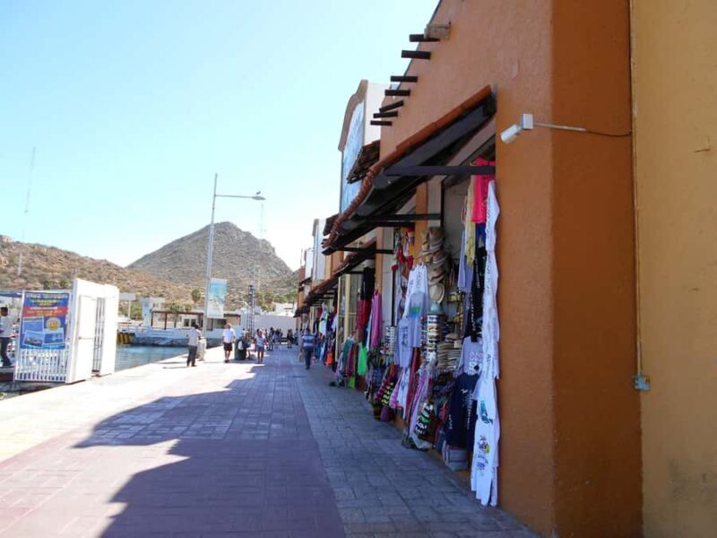 Los Cabos: Whale Watching Tour with Tequila Tasting - Weather and Seasonal Considerations