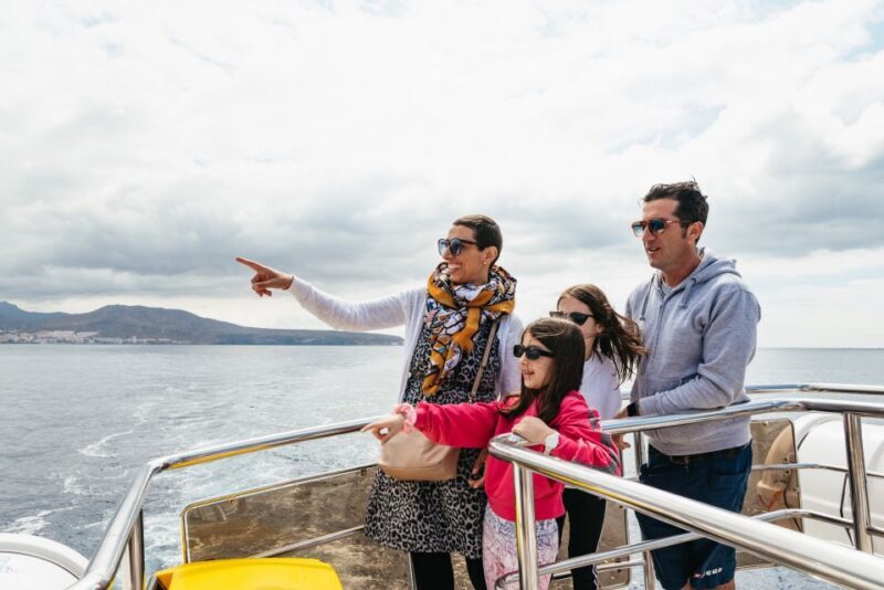 Los Cristianos: Eco-Yacht Whale Watching Cruise with Swim - Pricing & Value