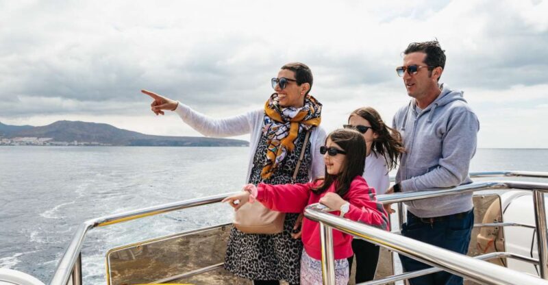 Los Cristianos: Eco-Yacht Whale Watching Cruise with Swim - Final Thoughts