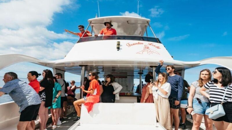 Los Cristianos: Eco Yacht Whale Watching Tour at Sunset - An In-Depth Look at the Eco Yacht Whale Watching Tour