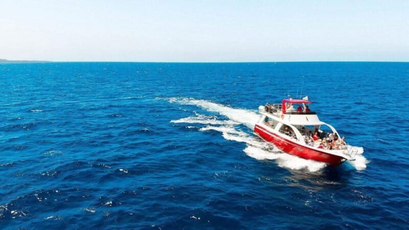 Los Cristianos: Eco Yacht Whale Watching Tour at Sunset - The Sum Up: Is It Worth It?