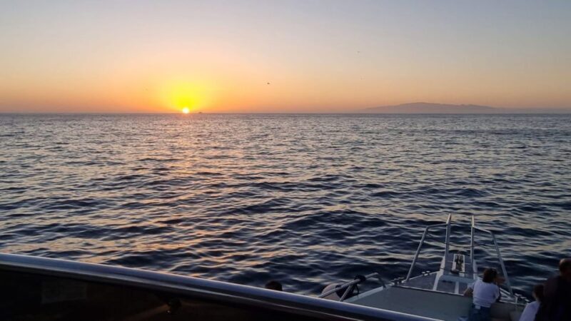 Los Cristianos: Eco Yacht Whale Watching Tour at Sunset - Frequently Asked Questions