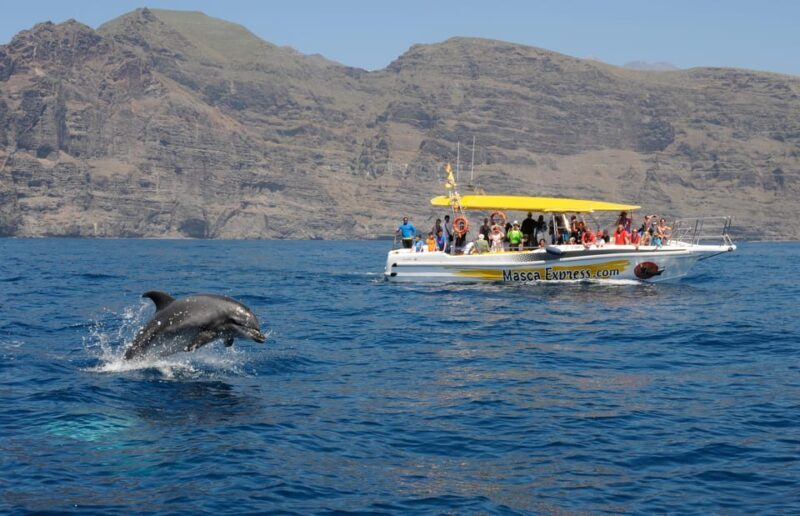 Los Gigantes: Dolphin & Whale Watching Cruise with Swim Stop - Key Points