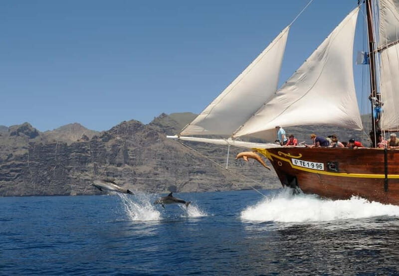 Los Gigantes: Dolphin & Whale Watching Tour on a Pirate Boat - Who Would Love This Tour?