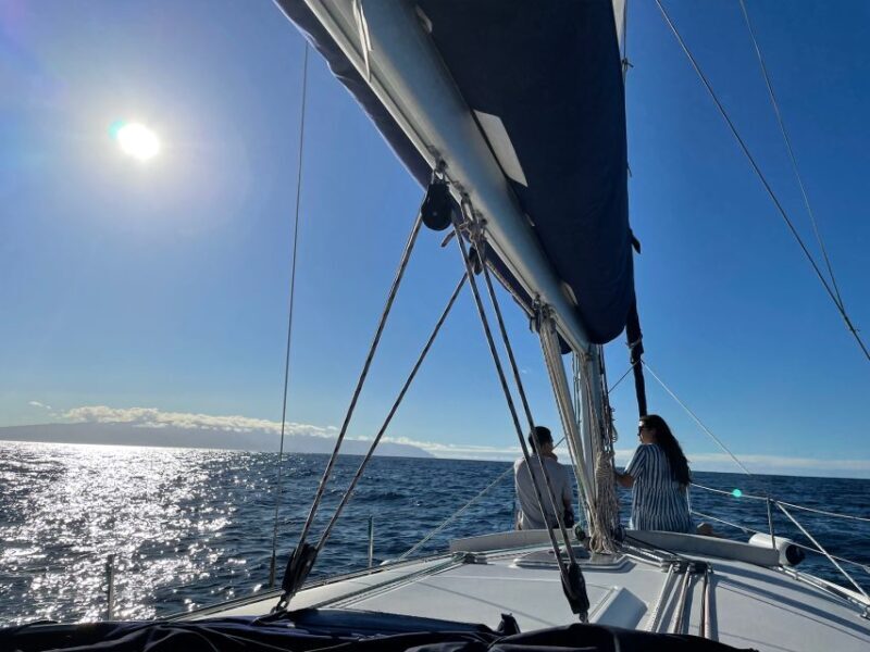 Los Gigantes: Private Sailing Tour with Swim, Drink, & Tapas - Who Will Love This Tour?