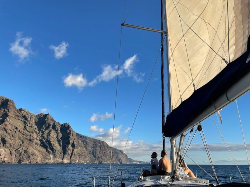Los Gigantes: Private Sailing Tour with Swim, Drink, & Tapas - Final Thoughts